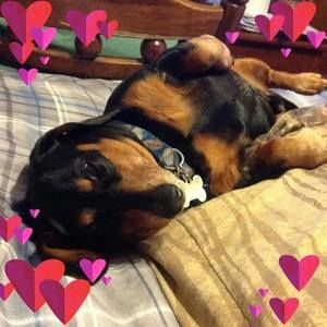 Meet your Posher, Brandy